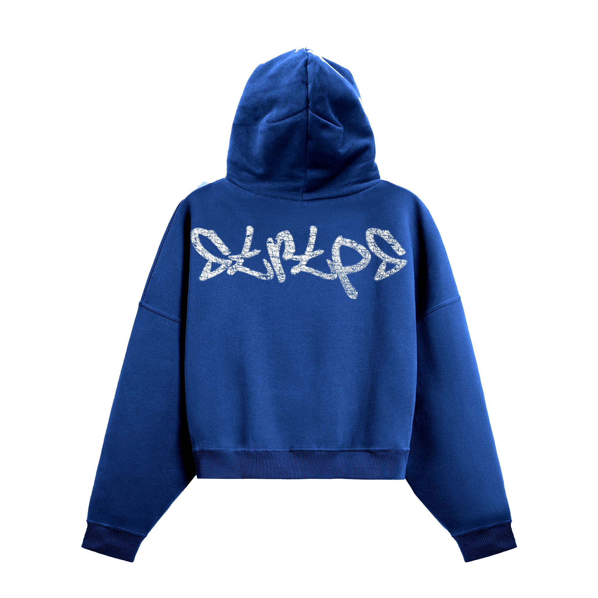 Spring '25 BLUE HOODIE